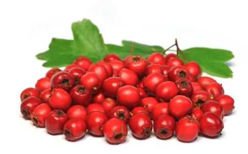 男性气虚怎么办 中医教你调理(图3) 男性气虚怎么办 如何判断是否气虚 中医如何调理气虚